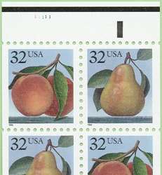 PeachPear-un-2a.jpg (10305 bytes)