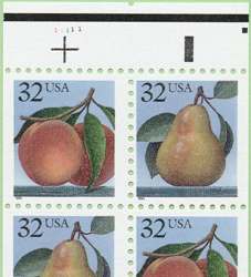 PeachPear-un-44.jpg (10319 bytes)