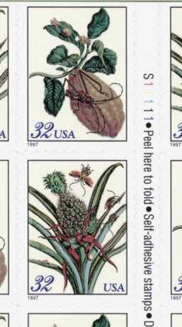 Botanical-d-s.jpg (17674 bytes)