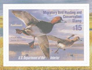 duck-Redhead-d-s.jpg (12358 bytes)