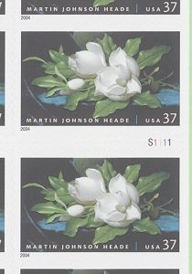 Magnolias-d-s.jpg (13415 bytes)