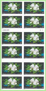 Magnolias-f-s.jpg (13883 bytes)