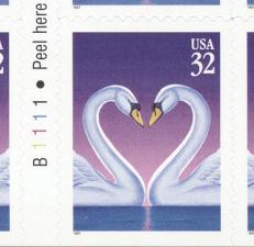 Swans32-d-s.jpg (9091 bytes)