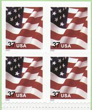 USFlag37-v-d-s.jpg (13940 bytes)