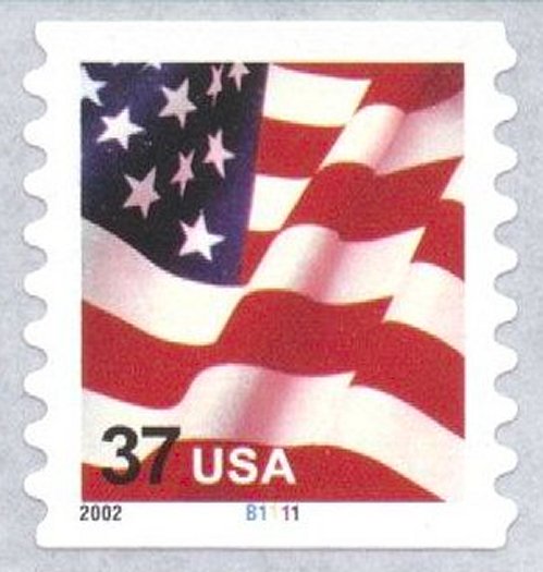 Flag--com-sa-10k.jpg (44107 bytes)