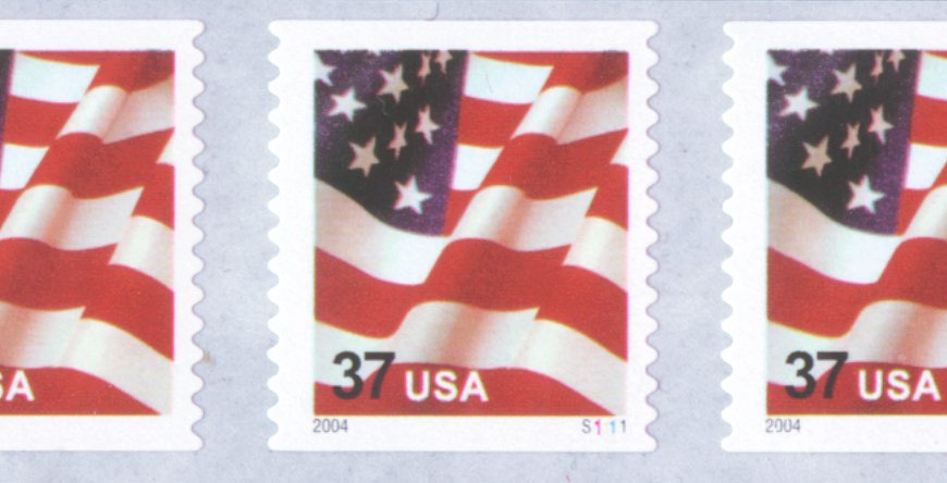 USFlag-sen-04.jpg (58278 bytes)